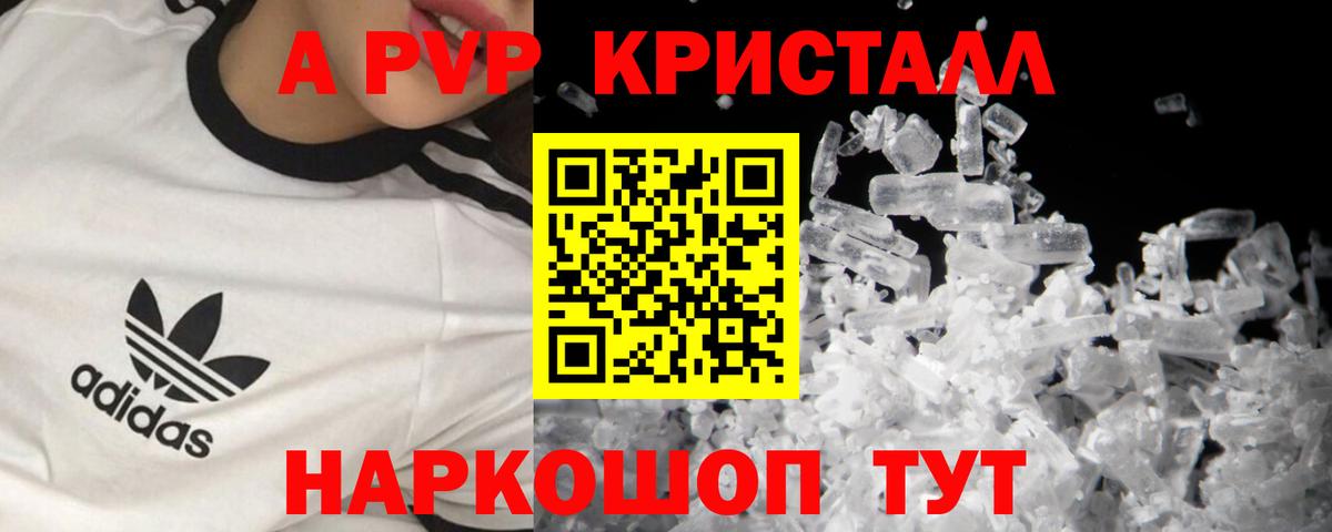 A PVP СК Дальнегорск
