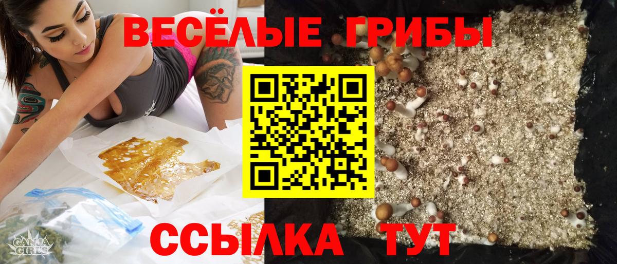 Псилоцибиновые грибы прущие грибы  Вход с VPN  Дальнегорск  Галлюциногенные грибы MAGIC MUSHROOMS 