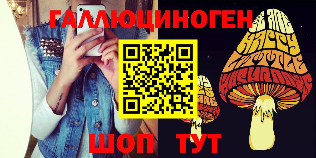 Галлюциногенные грибы ЛСД Дальнегорск