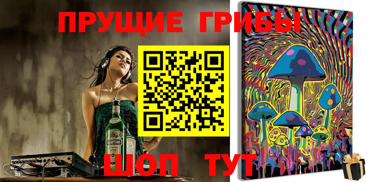 Псилоцибиновые грибы Cubensis Дальнегорск